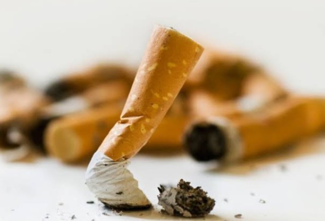 AMSB Kecewa: Dari 110 Perusahaan Rokok di Sumenep, Hanya 20 yang Dibekukan